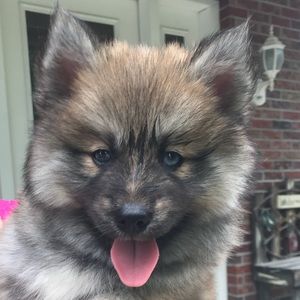 Meet your Posher, Kelly